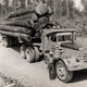 Illustration for article titled Pacific Trucks